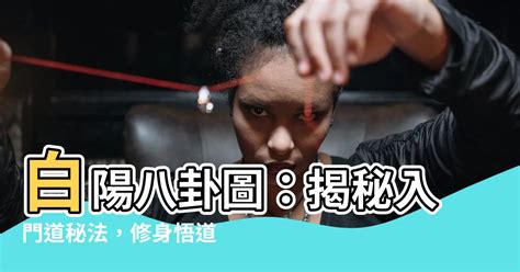 白陽八卦圖|012白陽八卦圖